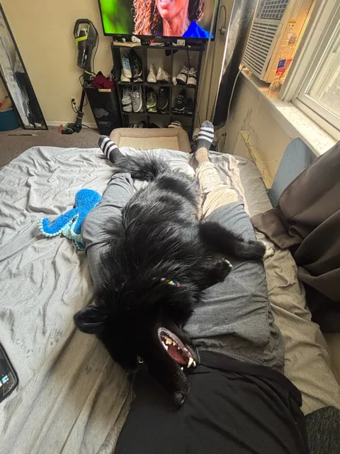 Thanks for checking in, I’d say he’s doing quite well! 3 months with my best friend. Time flies when you’re having fun!