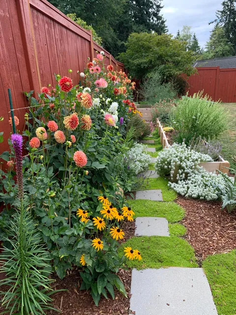 Frogs all over the garden yesterday
