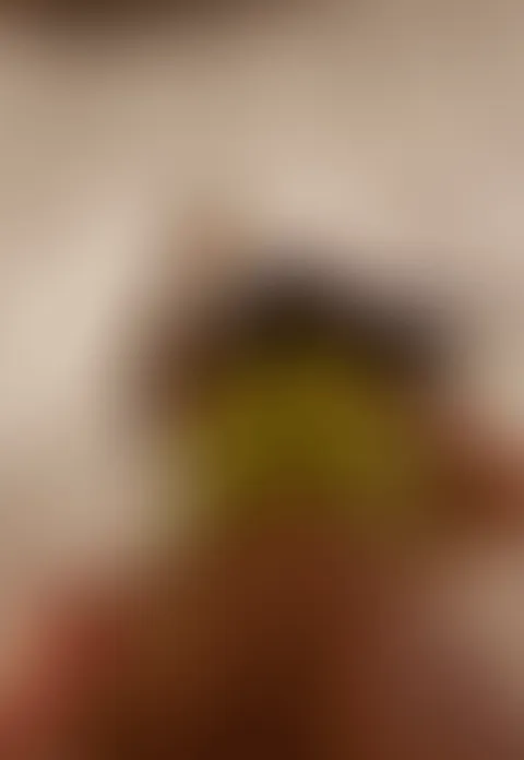 Doggy or cowgirl? (Swipe)