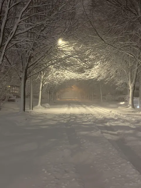 This photo I took during a blizzard