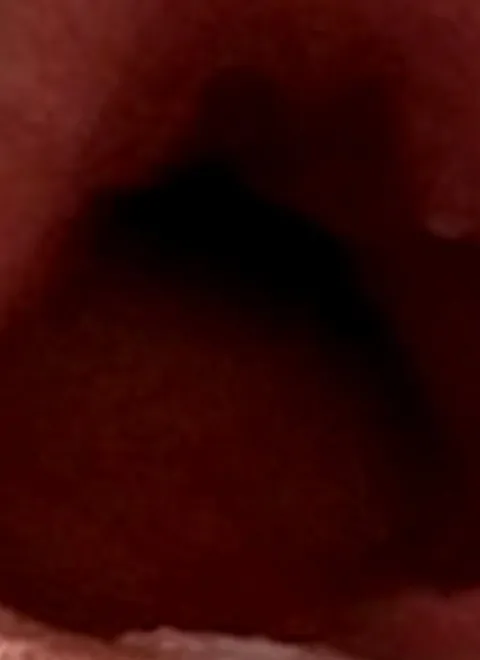 Remy and the fantastic journey