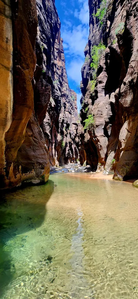 Zion Narrows Utah USA [OC] [1080x2340]