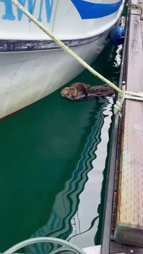 The Safest water Mattress