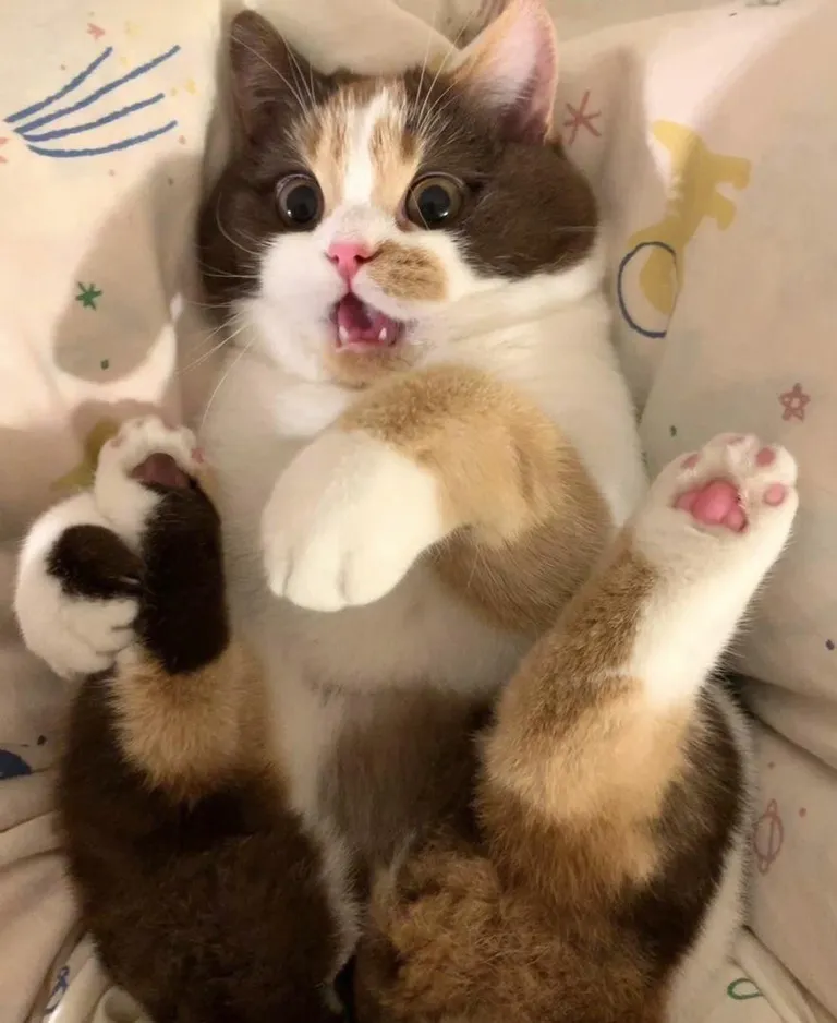 Look how cute she is😍