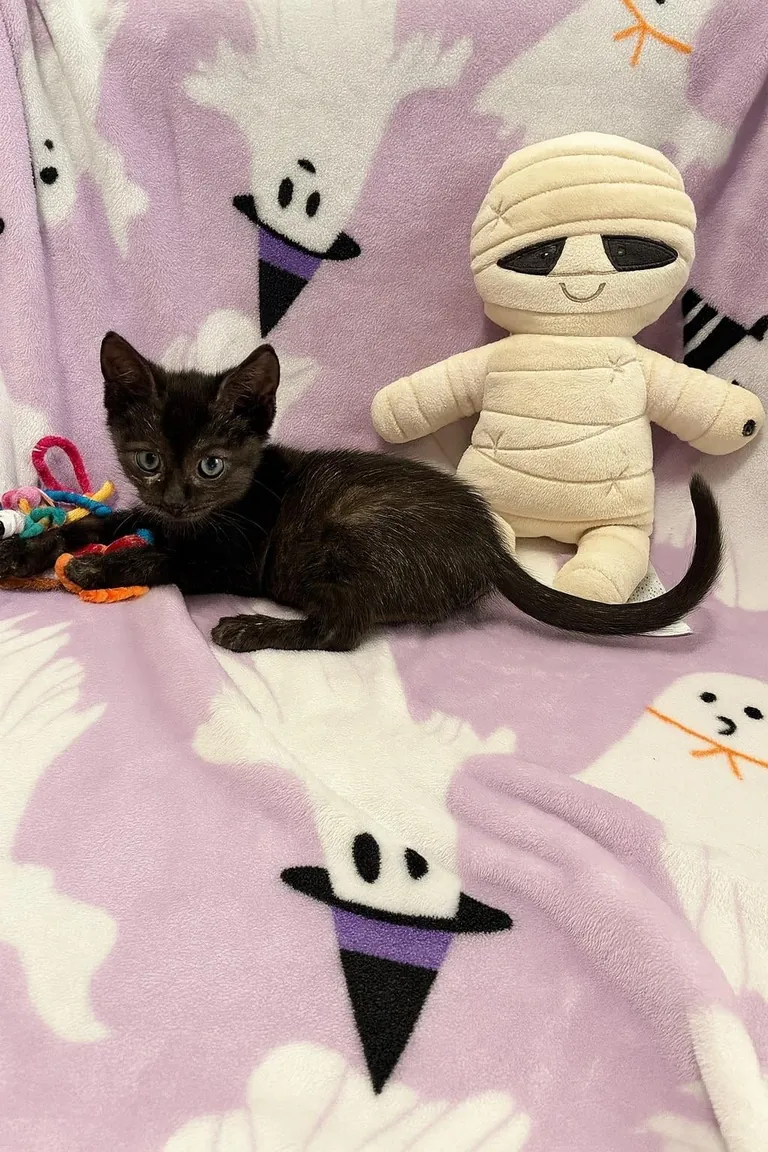 From 6oz to fat ❤️