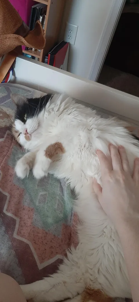 Goodbye to my First.