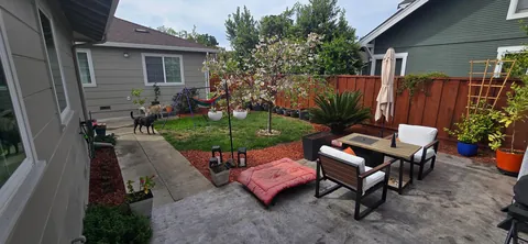 I hear you like bougainvillea