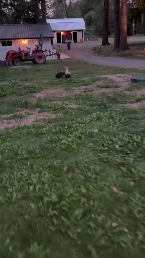 Busted trying to sneak out late