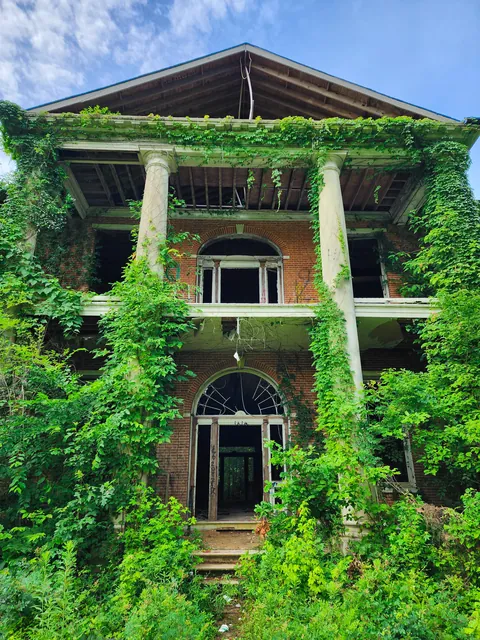 Nature reclaiming a house in Mississippi