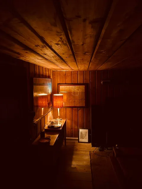 morning sun hitting my wood-paneled home office