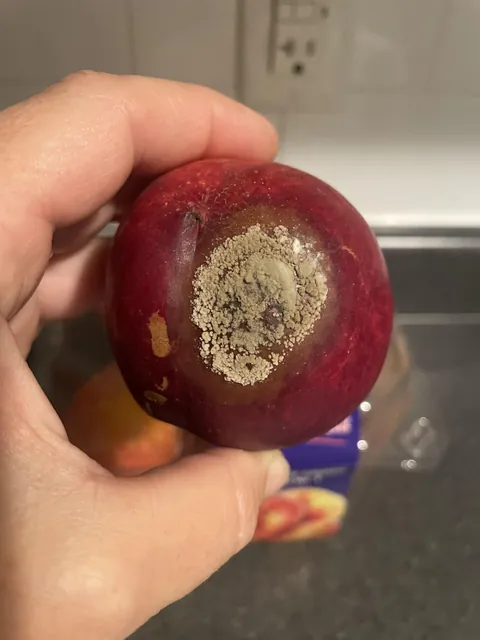 My nectarine went bad and the mold looks like a skull