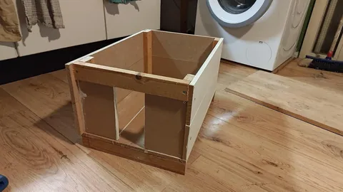 Beautiful cat has been dumped by it's owner...