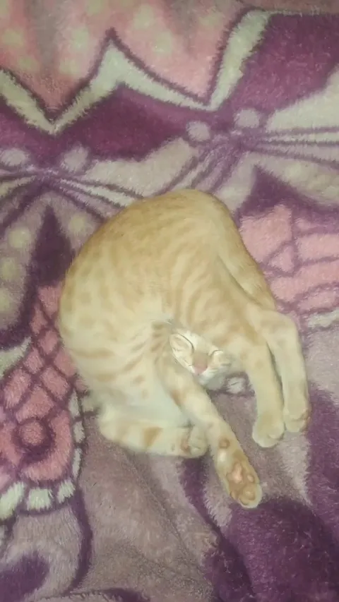 He found a new angle to sleep