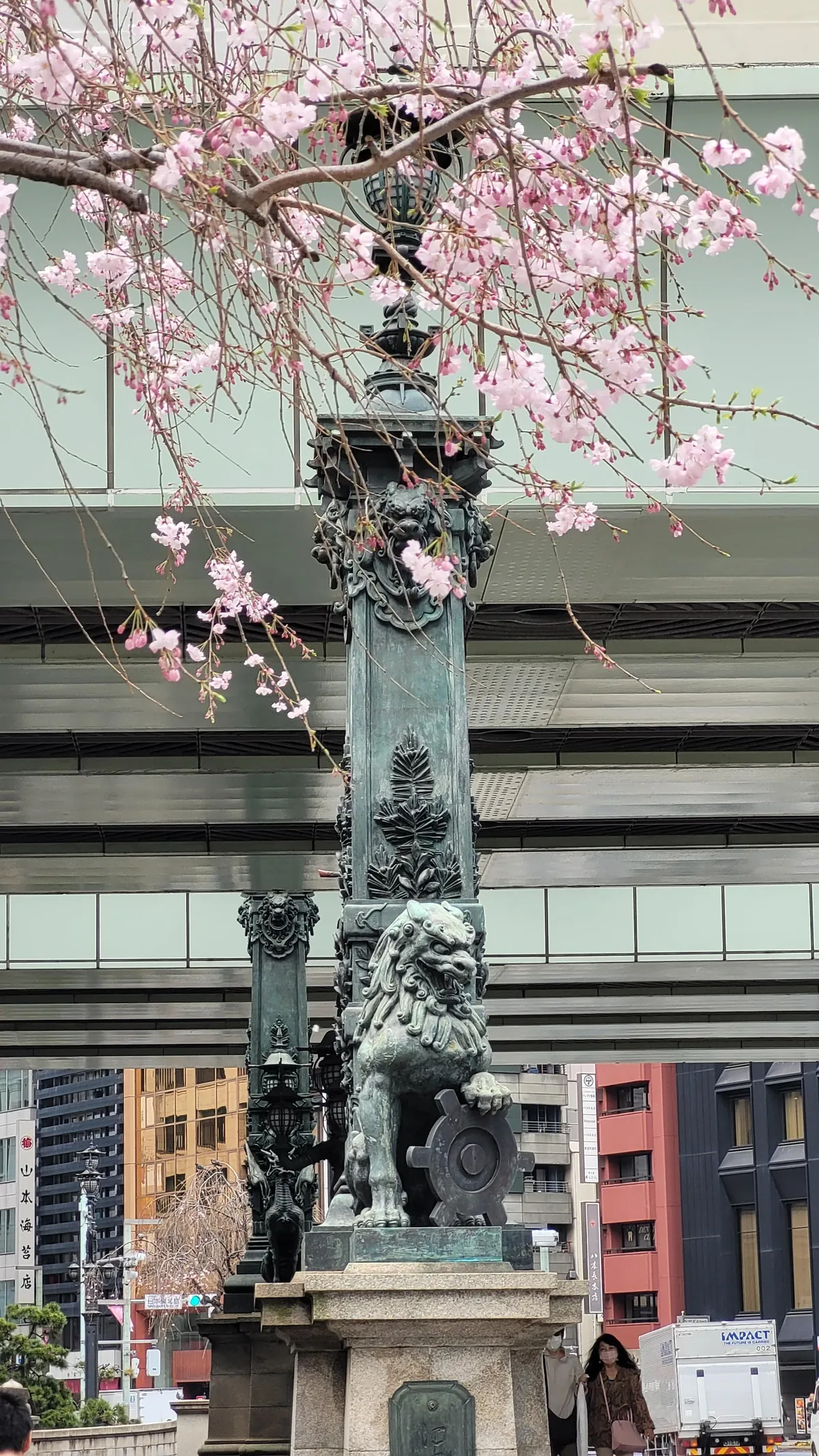 Tokyo under cherry blossoms, Mar/Apr 2025