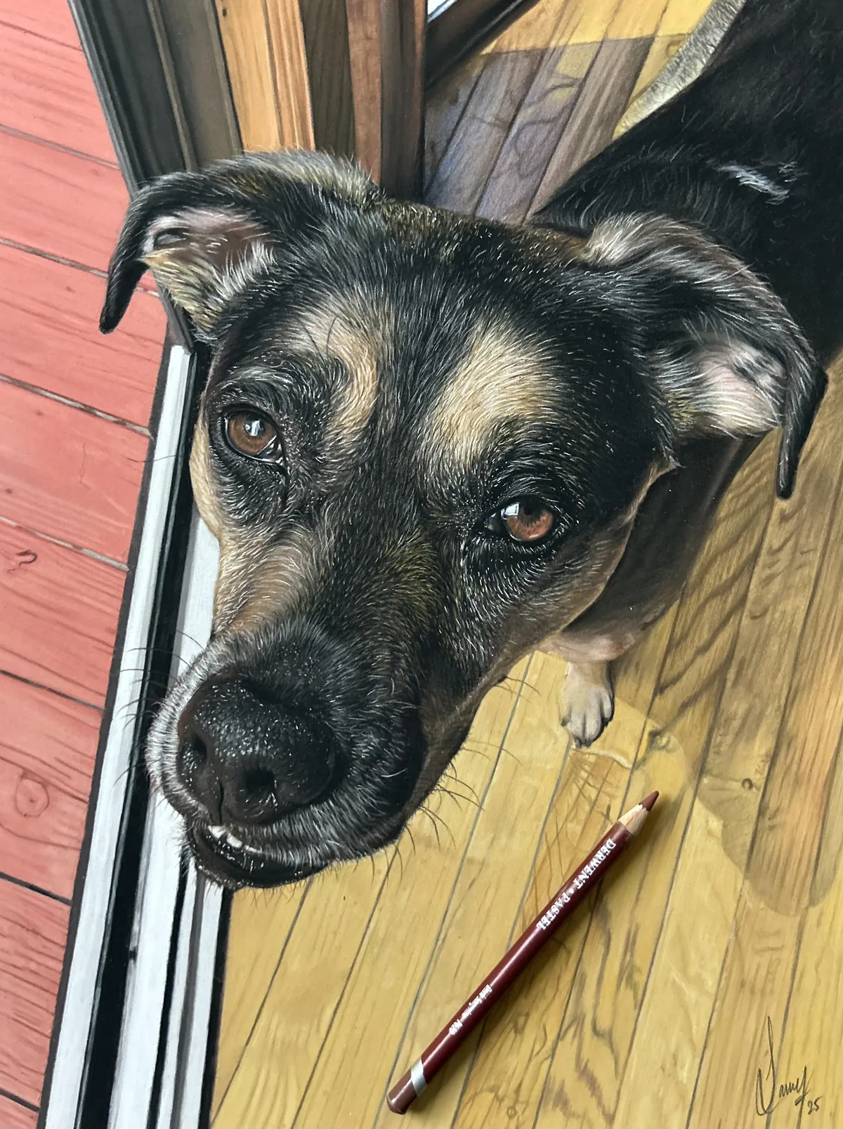 Drawing of a dog, i made with pastel pencils ✏️