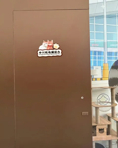 The office set up by Lanzhou Zhongchuan International Airport for their “rodent control specialists.”