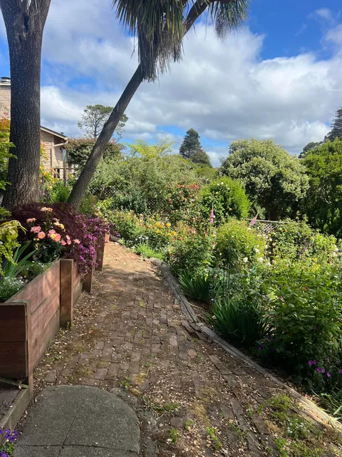 If you love your garden, it’ll love you back (Pt 2)