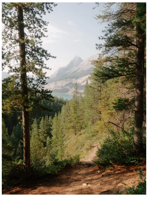 Mountain views in Alberta, Canada [OC][3698x4931]