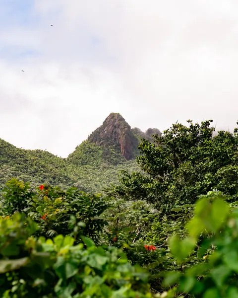 Puerto Rico Highlights from Our Family Trip 🇵🇷