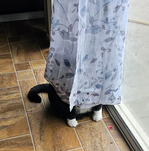 Pablo is a master at hide and seek