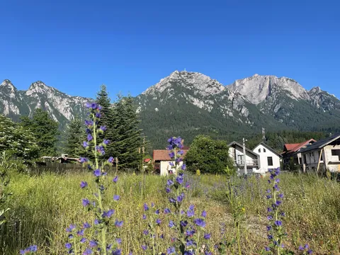 1 Week in Romania 🇷🇴