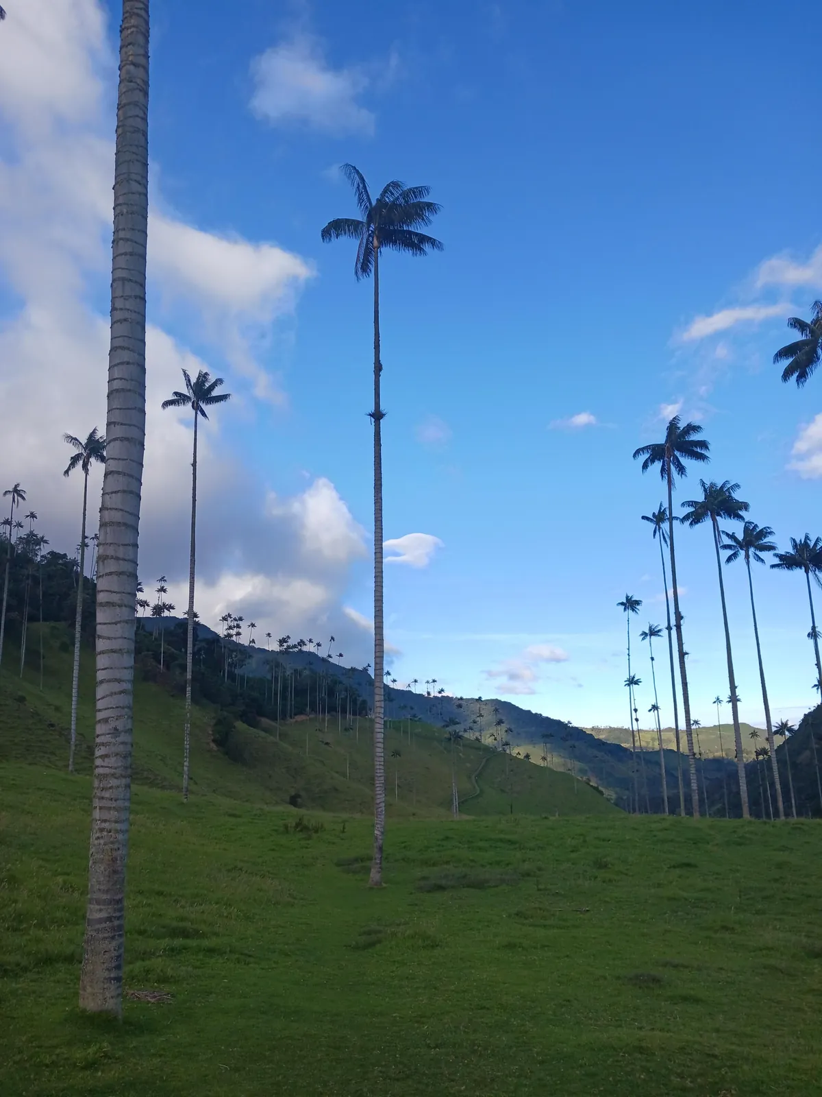 One Year in Latin America, Mexico to Patagonia