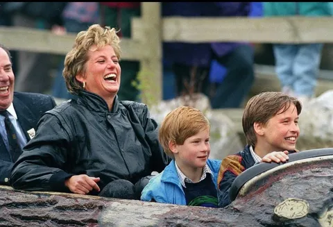 This bodyguard having the time of his life on a water ride with Princess Diana and her sons 
