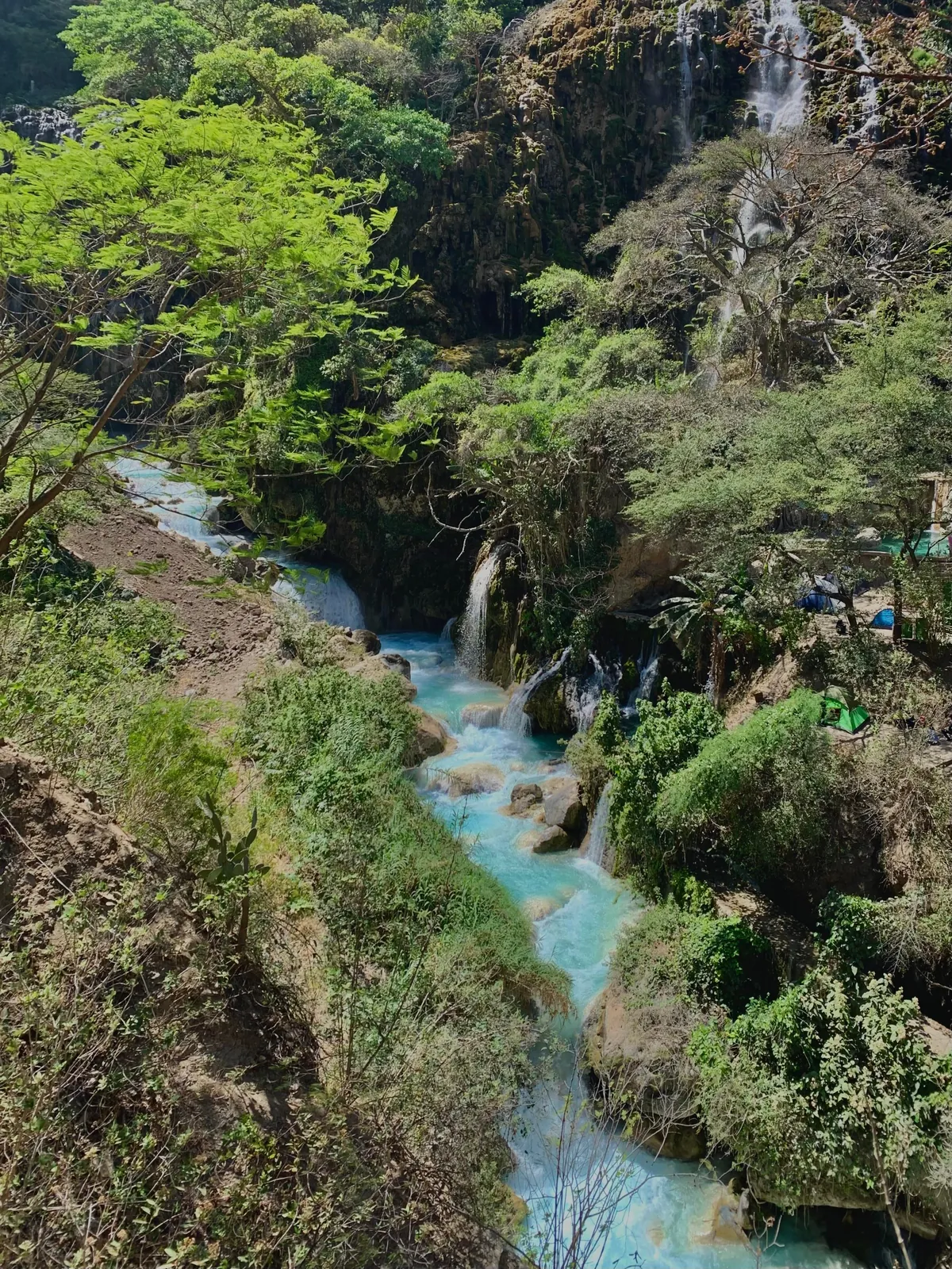 Which city did you visited that you’ve made the most friends? My 2 weeks in Mexico City