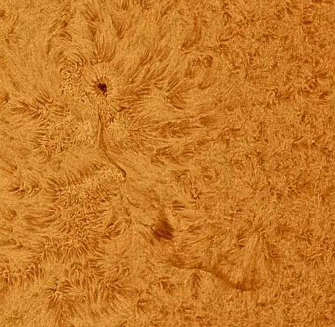 Finally! A sunspot appeared this week - it's been a while. I stayed on target with it for 50 minutes and created this time-lapse of it.