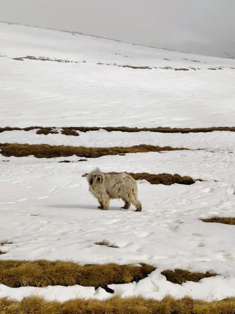 Two Weeks in Romania! 🇷🇴