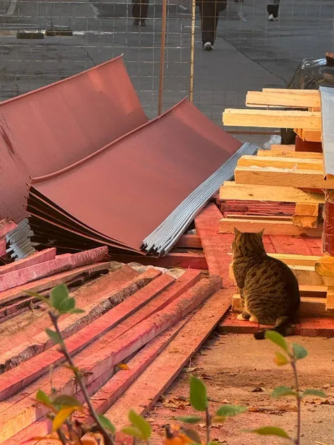 tough day of a construction worker