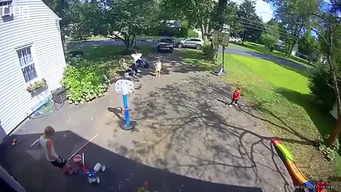🔥Nature strolling into the suburbs of Connecticut 