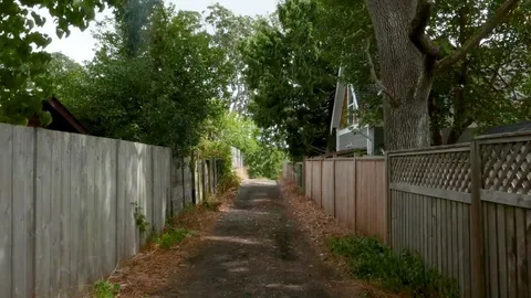I recorded this path near my home for a year to capture the changing seasons. Here's the result.
