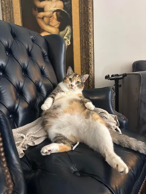 I swear she’s not this fat she just sits funny 😭😭😭