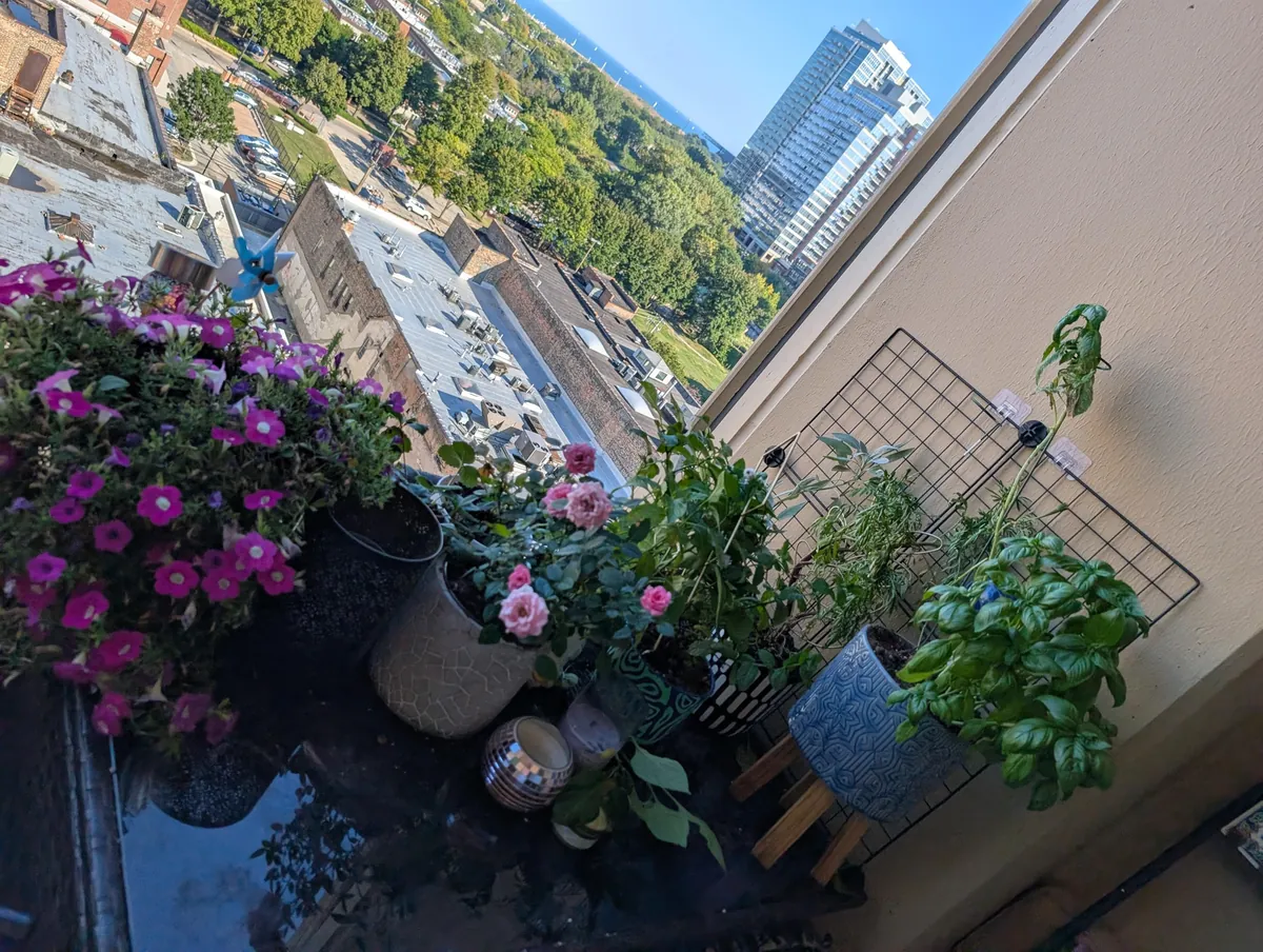 My balcony where I spend all of my time ft. my cat Tater