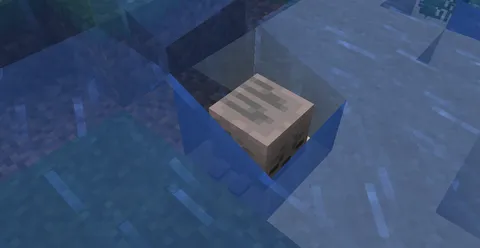 Why is the Water going around it? Isn't it thirsty?