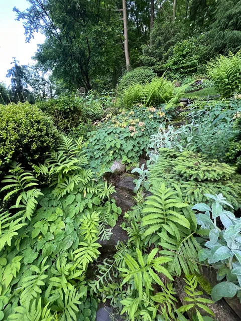 Photos of the backyard section of my mom's garden post-rain!