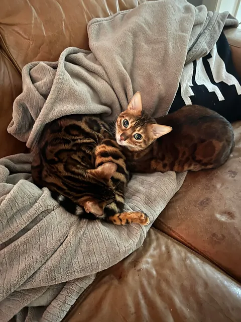 Bby girl and bby boi