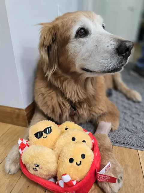 My girl is recovering well from 2 sugeries and still smiling!