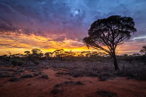 Glendambo, South Australia [OC] 1920x1280