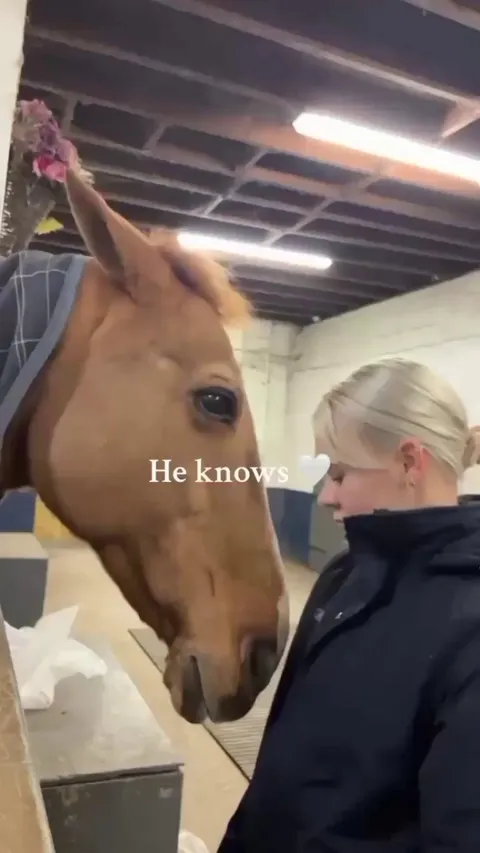 Affectionate Horse Pulls Child Closer For A Hug