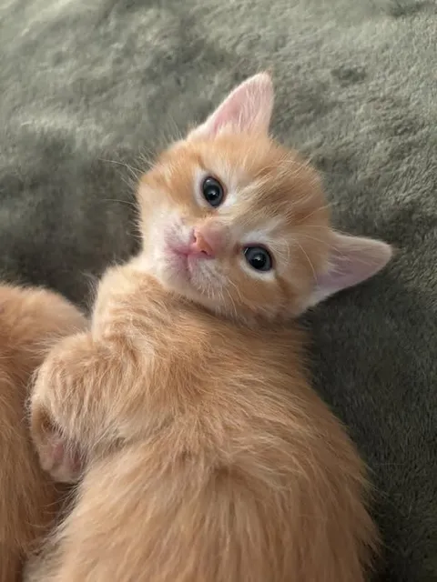 Aww 🥰 my pretty little baby