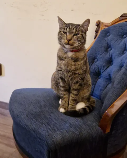 ​I visited a castle in the Czech Republic, and it was administered by this magnificent creature.