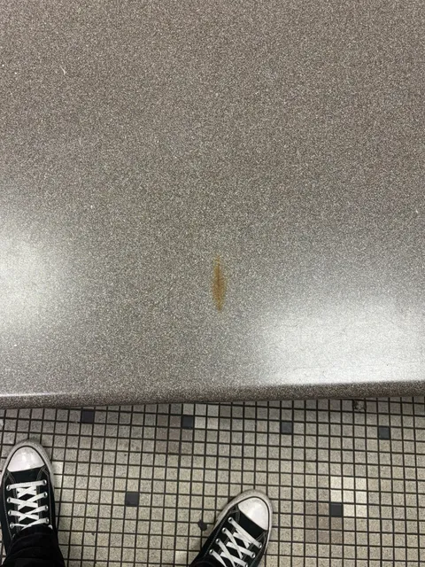 Men’s locker room bench at my gym.