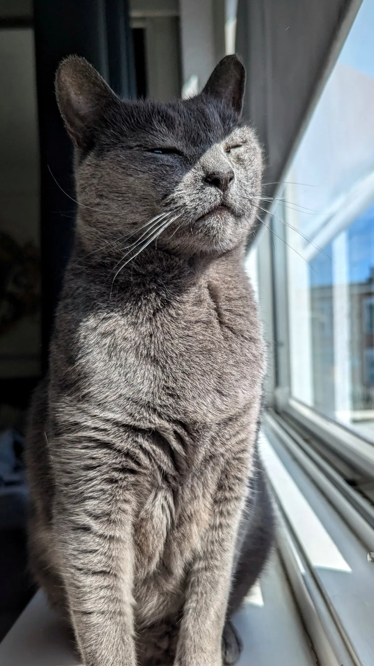 Adopted this 12 year old badass