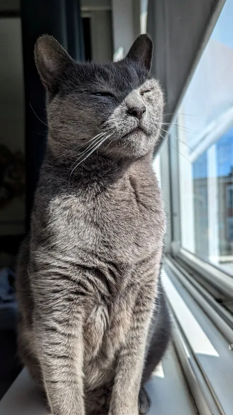 Adopted this 12 year old badass