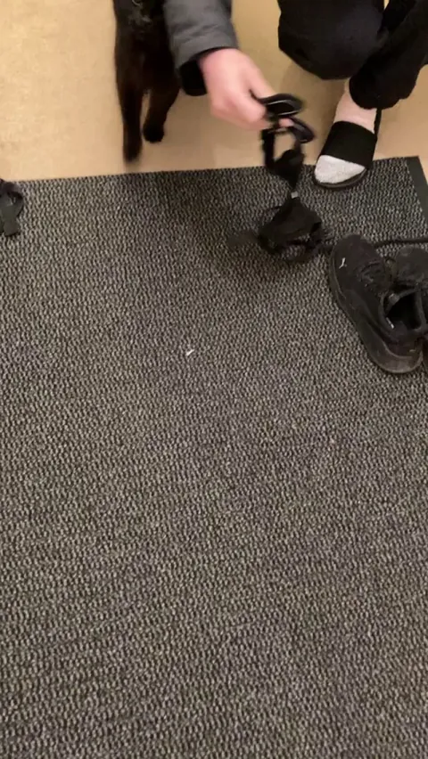 1 year ago we rescued a stray kitten and now she loves going outside for walks