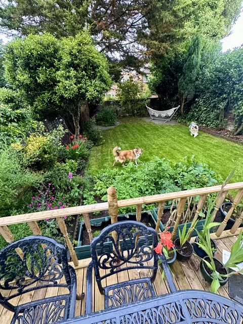 My garden after 3 years of work!🥦✨