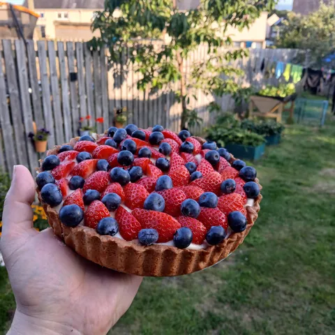 [homemade] Berry Tart with Crème Pâtissière