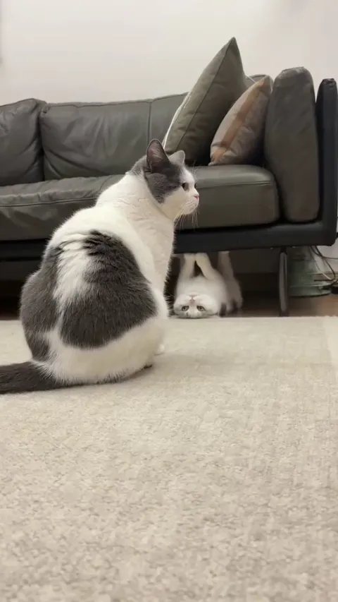 There is always one that is just different